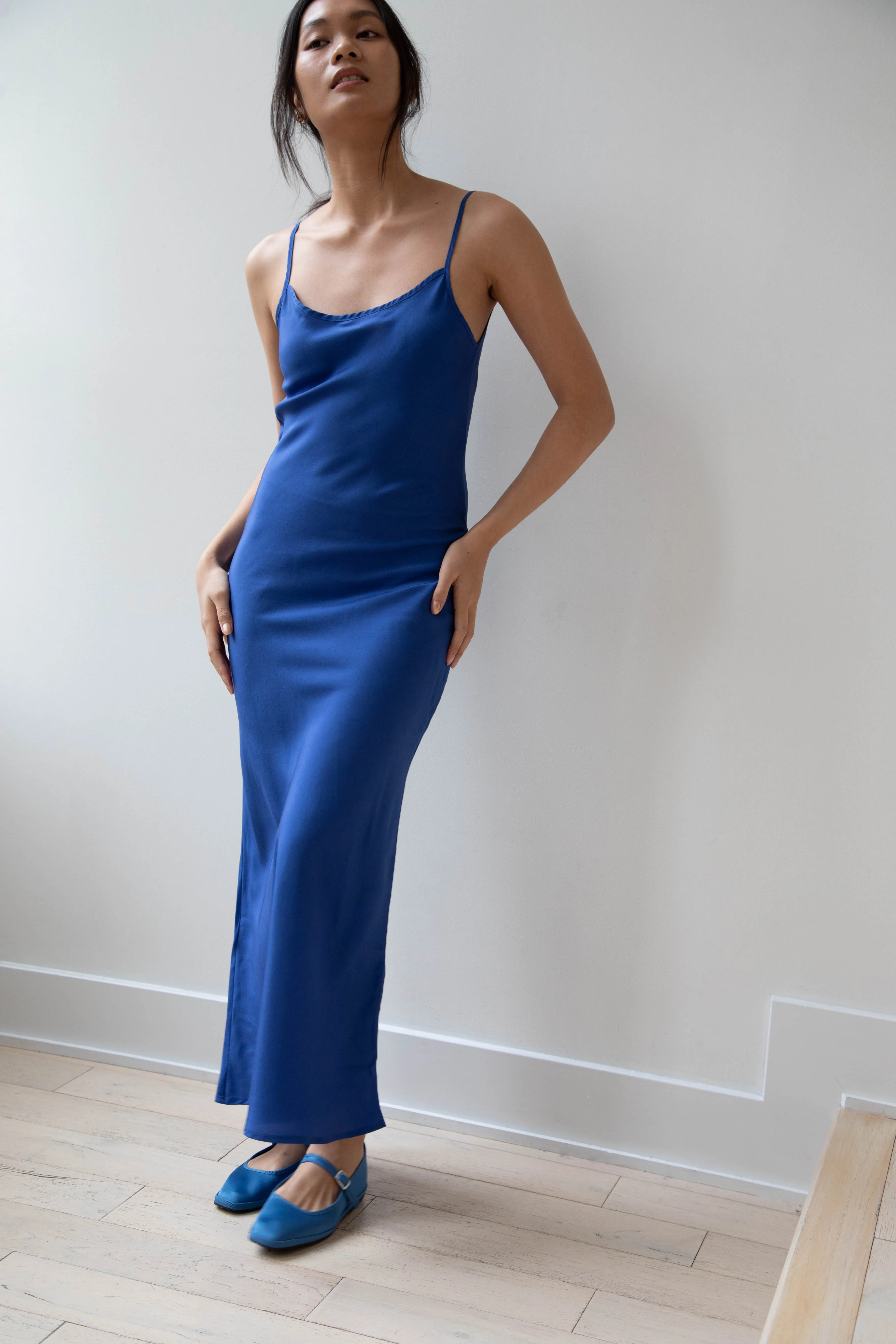 Barena Venezia | Aga Dress in Victoria Blue Silk